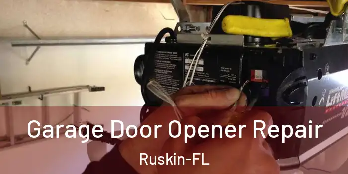 Garage Door Opener Repair Ruskin-FL